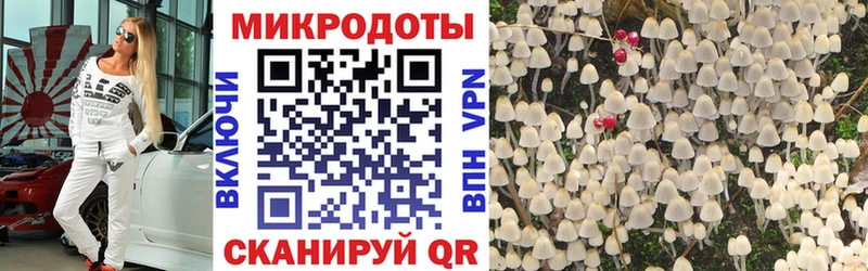 как найти закладки  Слюдянка  Галлюциногенные грибы Psilocybine cubensis 